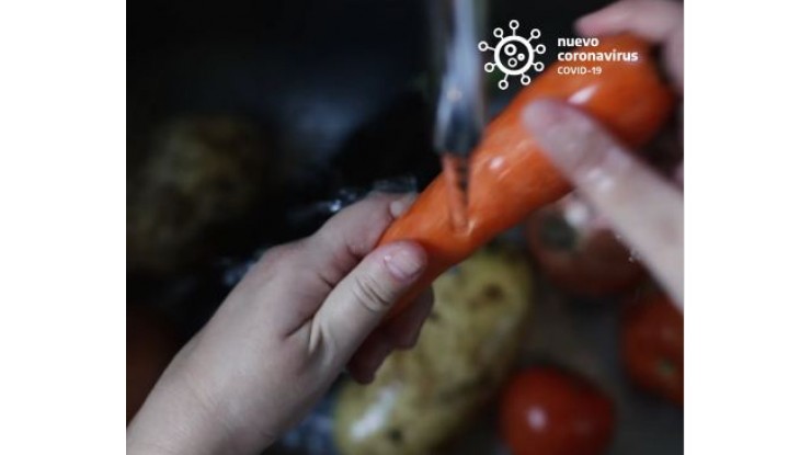 Recomendaciones para el lavado correcto de frutas y verduras 
